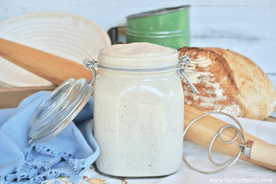 Sourdough starter that is active and fresh makes wonderful artisan bread!