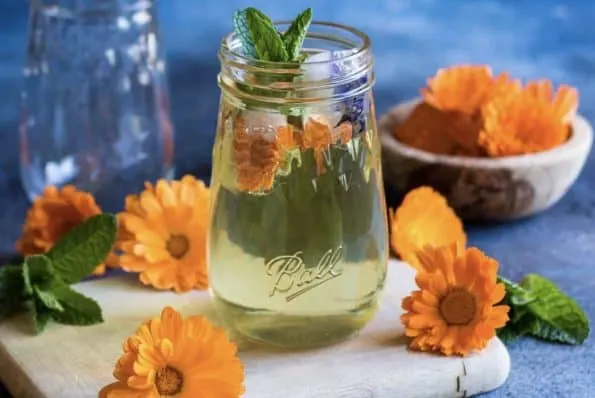 Calendula ice tea.