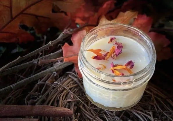 A jar of calendula rose lotion with petals. 
