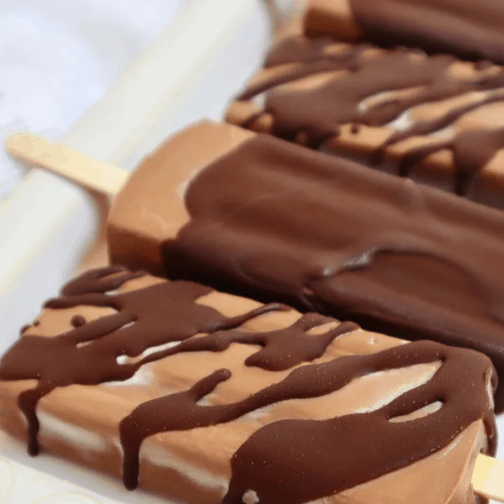 Fudgesicles with a frozen dark chocolate shell.
