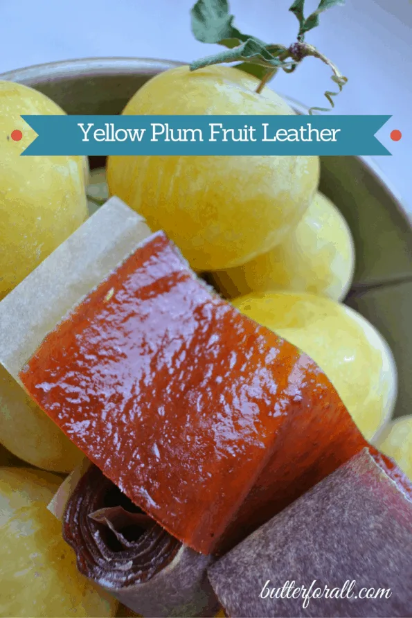 Yellow plums with a strip of freshly made fruit leather.
