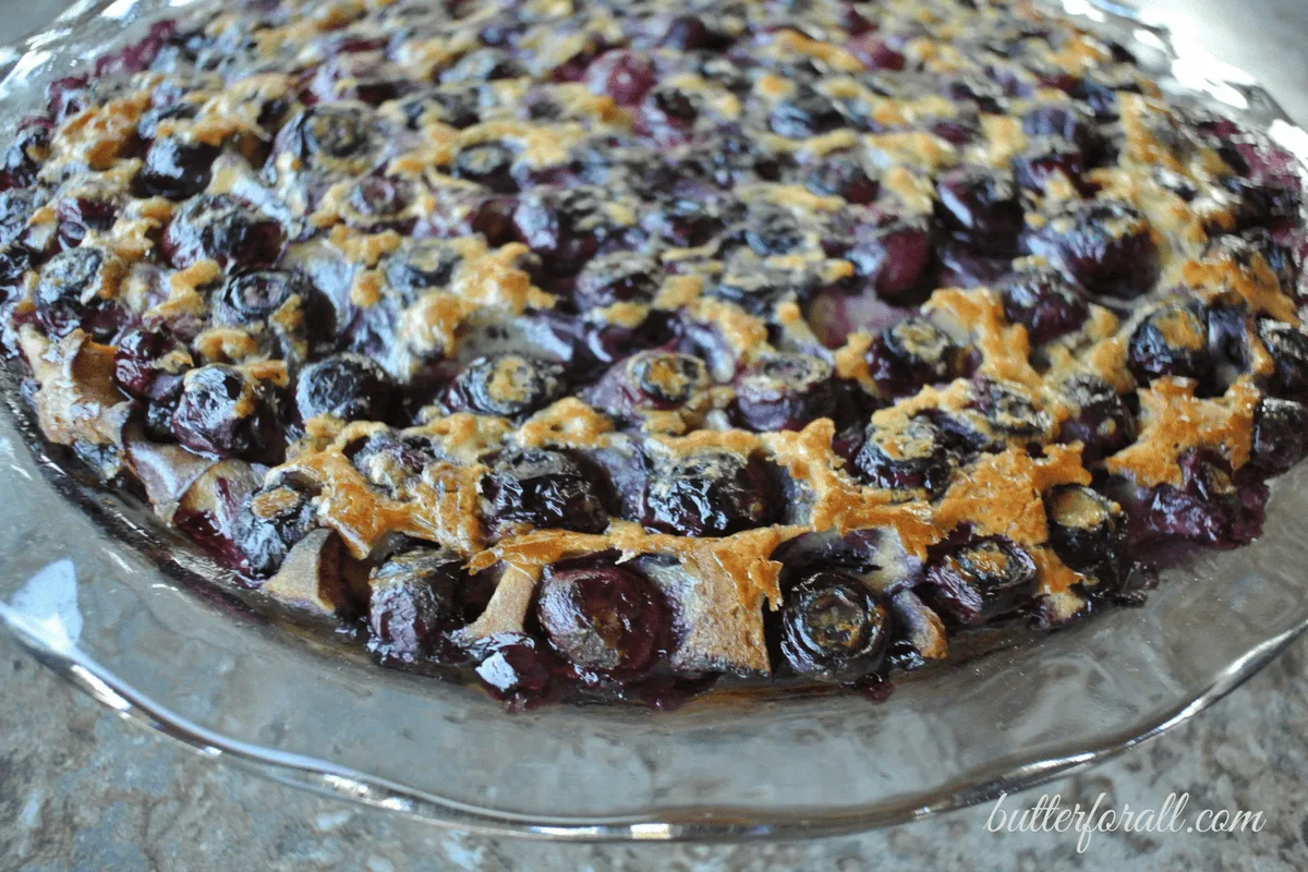 Freshly baked blueberry clafoutis in a pie pan.