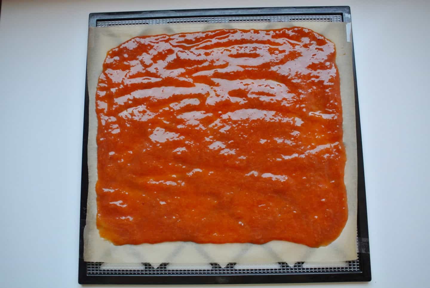 Yellow Plum Fruit Leather • Butter For All