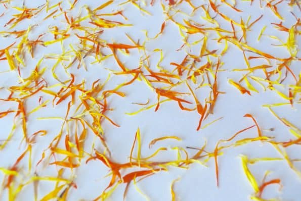 Close-up of dried calendula petals on a white background.