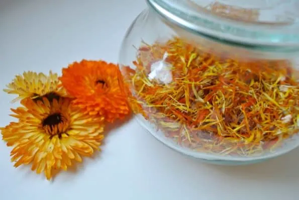 Dried calendula petals in a glass jar.
