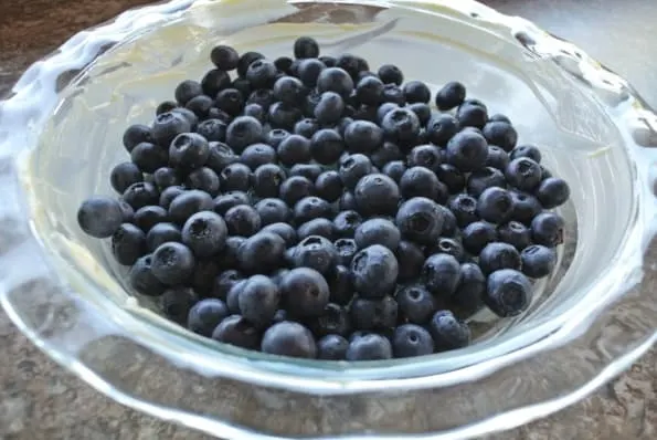 Fresh blueberries in a greased pie plate.
