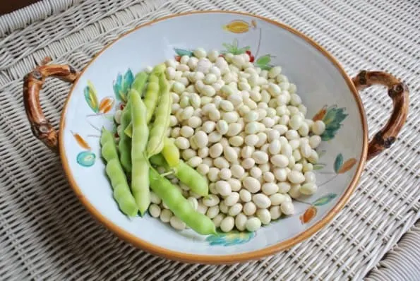 A bowl of uncooked shelling beans.