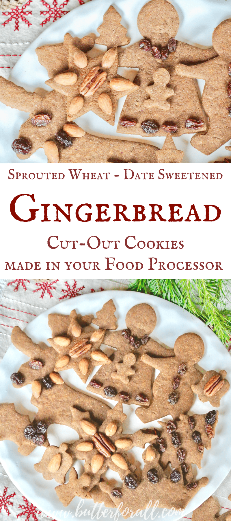 Gingerbread CutOut Cookies Date and Molasses Sweetened Made With