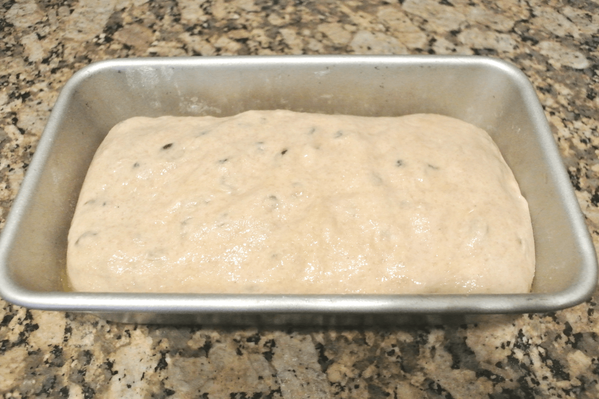 A cinnamon raisin sourdough loaf in a bread pan ready to rise.
