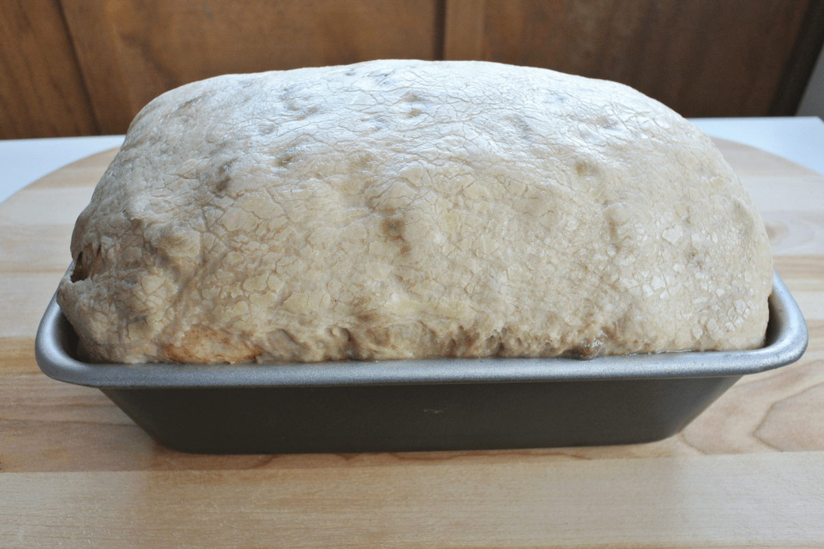 A cinnamon raisin sourdough loaf that has risen and is ready to bake.