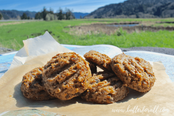 The perfect cookie for your next adventure! This chewy cranberry walnut cookie is made with properly prepared sprouted flour and sweetened with dried fruit. Not to mention the whole recipe comes together quickly in your food processor! Is it time to hit the trail? #hiking #adventure #realfood #cookies #nourishingtraditions #fruitsweetened