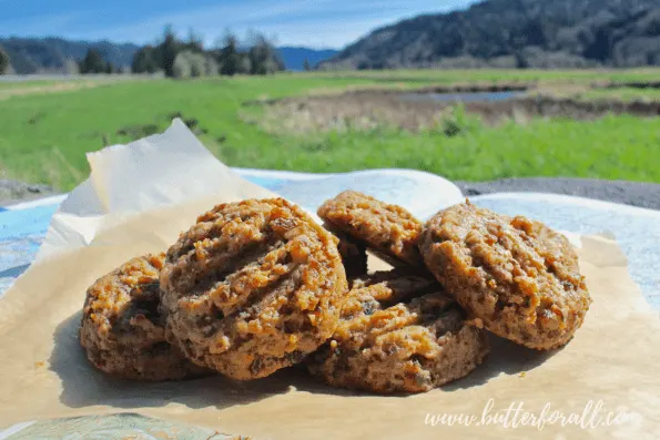 A pile of delicious cookies.