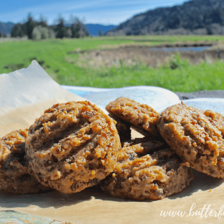 The perfect cookie for your next adventure! This chewy cranberry walnut cookie is made with properly prepared sprouted flour and sweetened with dried fruit. Not to mention the whole recipe comes together quickly in your food processor! Is it time to hit the trail? #hiking #adventure #realfood #cookies #nourishingtraditions #fruitsweetened