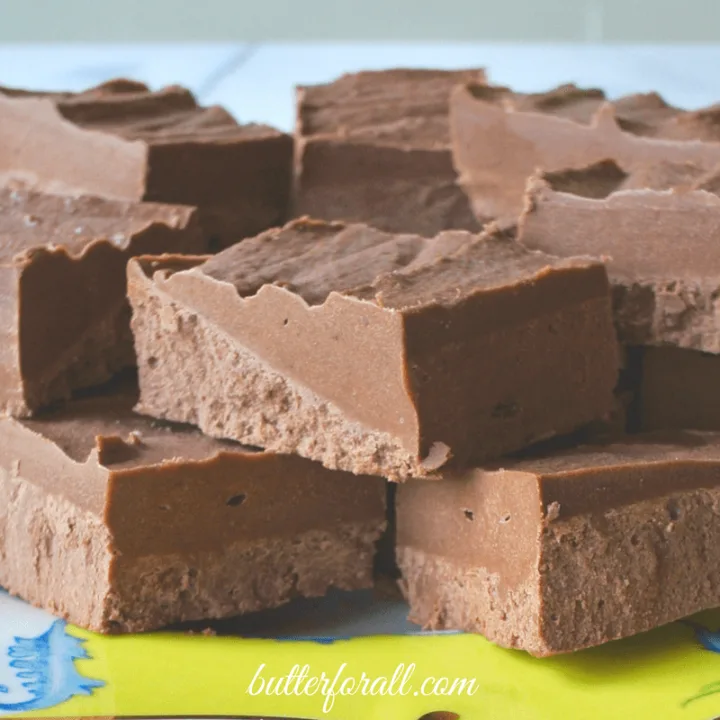 Chocolate Coconut Butter Butter Fudge is rich and smooth and loaded with healthy fats!