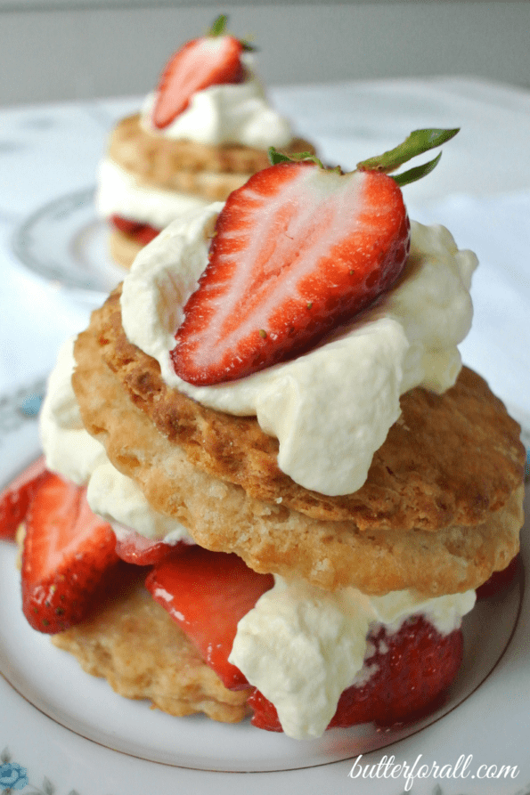 A sour cream shortcakes with strawberries and whipped cream on a plate.