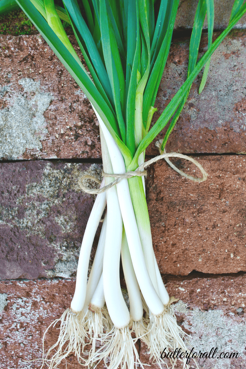 Spring Garlic – From Garden to Table • Butter For All