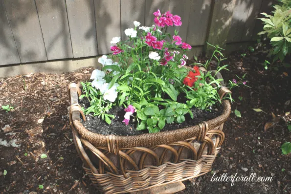 A DIY flower basket.