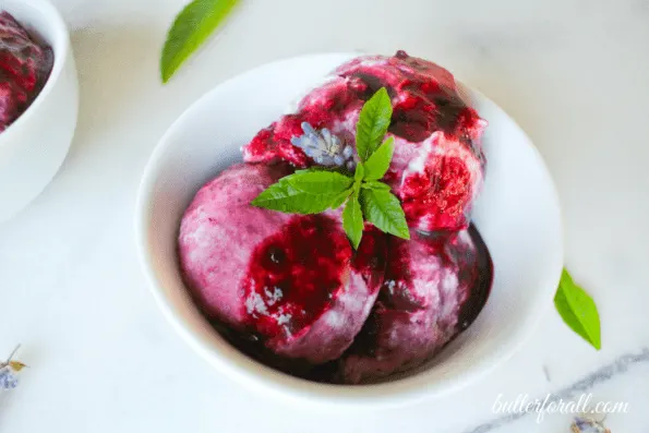 Blackberry Fool made with Labneh Cheese and Infused with Lemon Verbena and Lavender