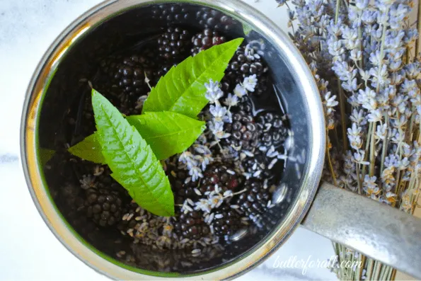 Blackberry Fool Infused With Lemon Verbena And Lavender