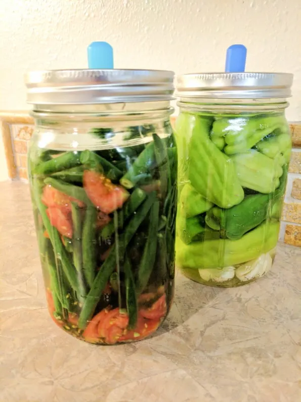 Mason jars of fermented green beens and other fermented veggies.