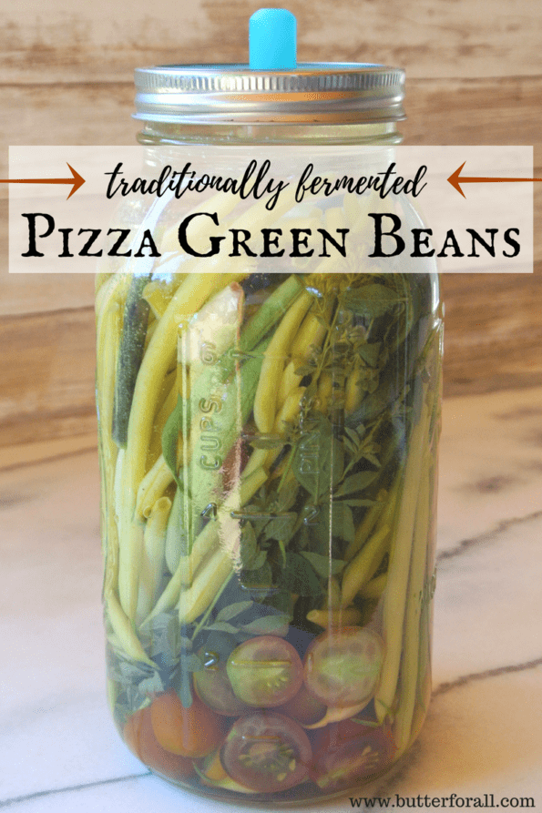 A mason jar of fermented green beens with garlic, oregano, and tomatoes with text overlay.