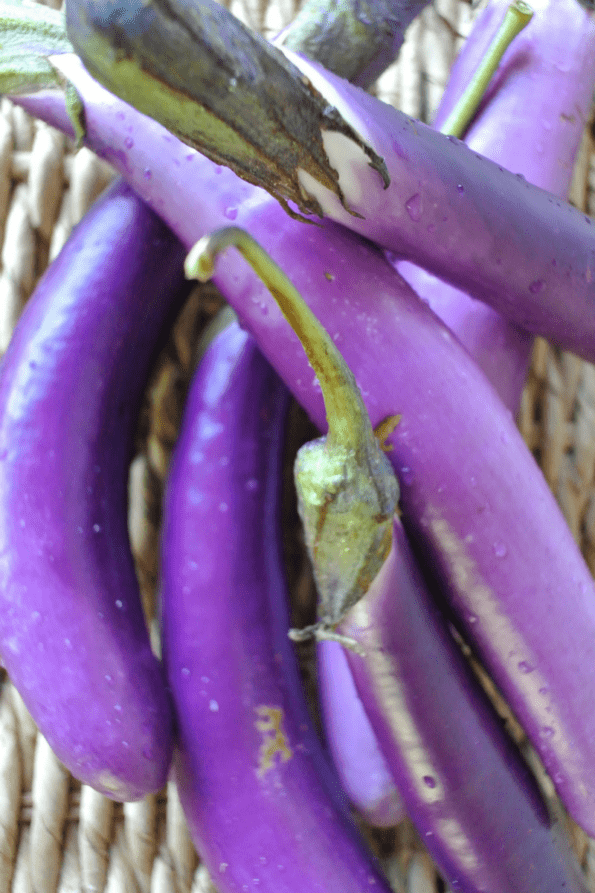 A bunch of Japanese eggplants.