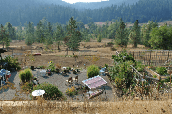 A garden with a paved patio area.