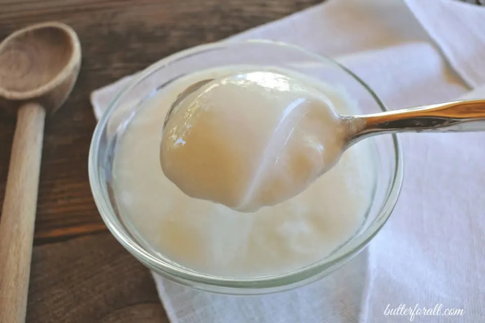 A bowl of raw cow's milk yogurt.