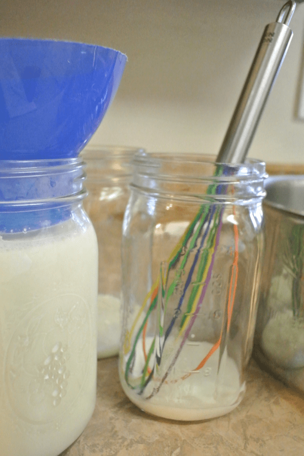 Jars and whisks for making raw cow's milk yogurt.