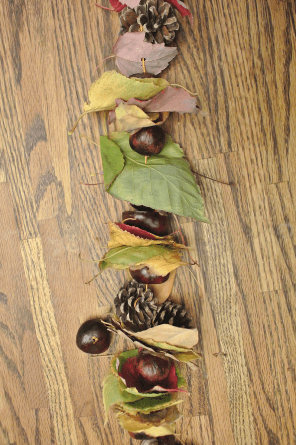 A string of leaves and cones.