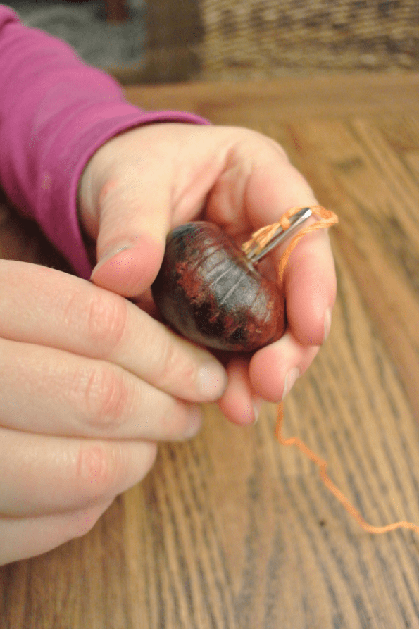 A seed pod.