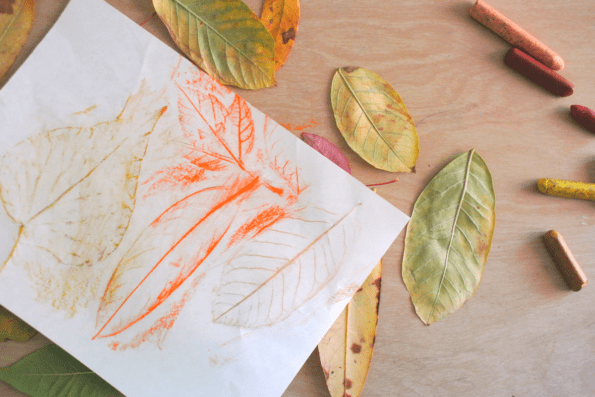 A paper with leaf rubbings.