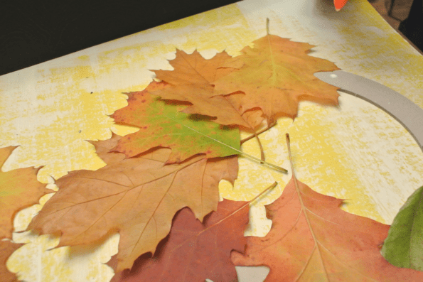 Colorful autumn leaves for a wreath.