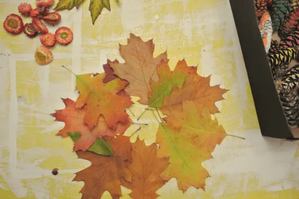 Colorful autumn leaves for a wreath.