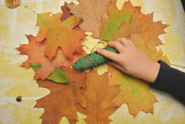 Colorful autumn leaves for a wreath.