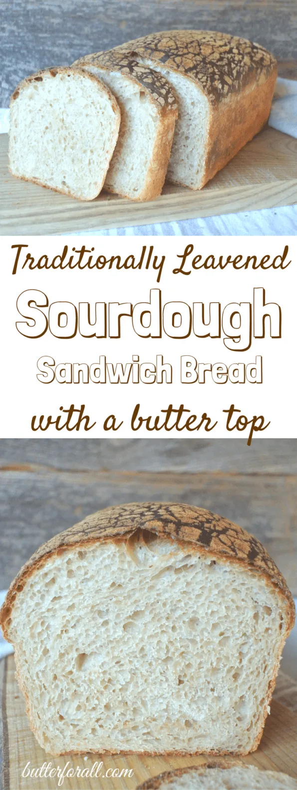 Butter Top Sourdough Sandwich Bread Butter For All Butter Top Sourdough Sandwich Bread Butter For All