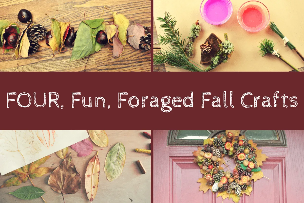 Four, Fun, Foraged Fall Crafts For Families