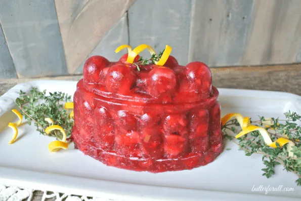 A molded lacto-fermented cranberry salad on a plate.