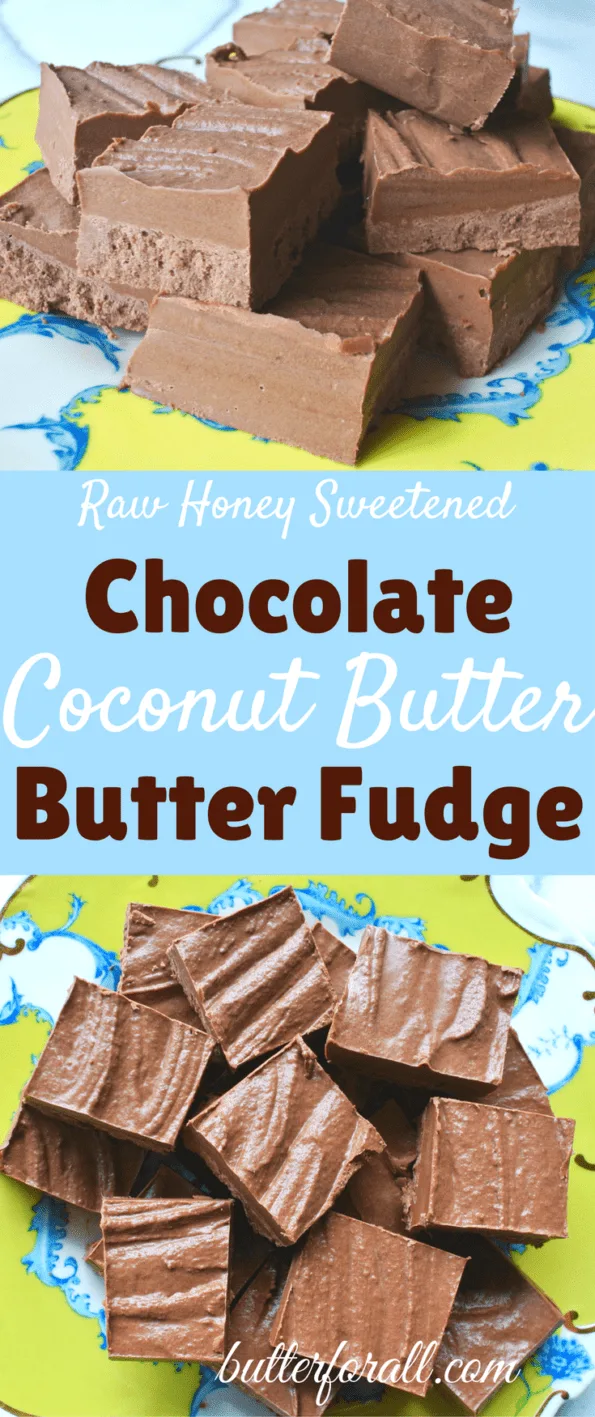 Chocolate Coconut Butter Butter Fudge- Sweetened With Raw Honey