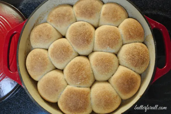 A pan of sweet, soft sourdough honey buns.