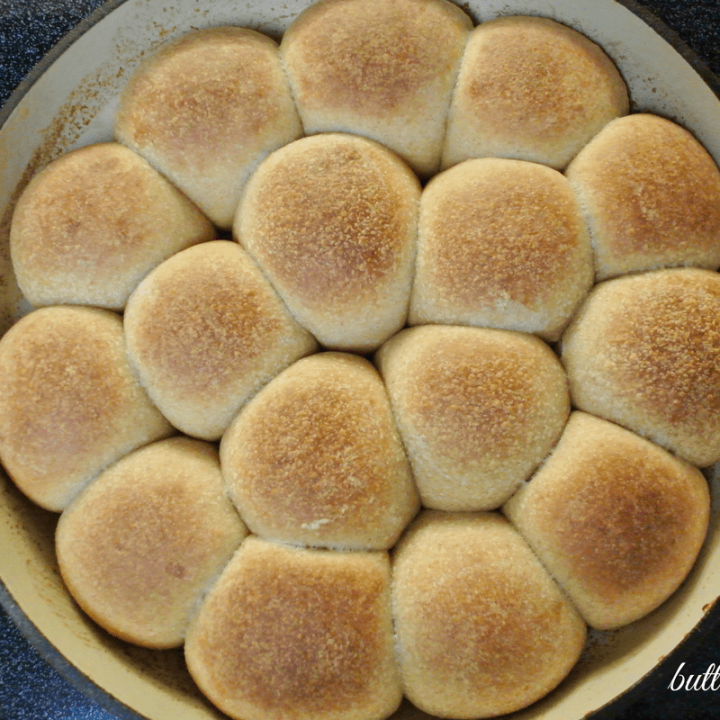 Soft, Sweet and Sharable Sourdough Honey Buns