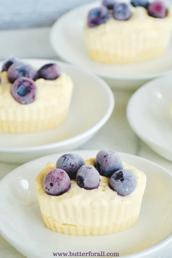 Frozen low-carb cheesecakes on a plate.