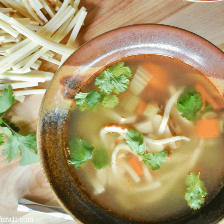 The Perfect Chicken Noodle Soup. Low-Carb, Grain-Free and Kept Friendly