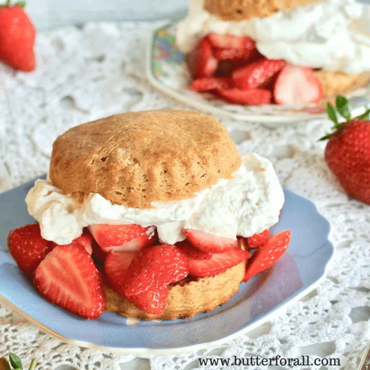 Real, traditionally leavened sourdough takes front stage in these amazing, soft shortcakes.