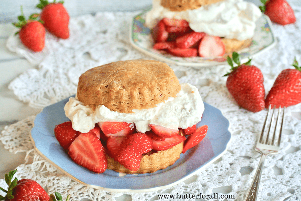 Real, traditionally leavened sourdough takes front stage in these amazing, soft shortcakes.