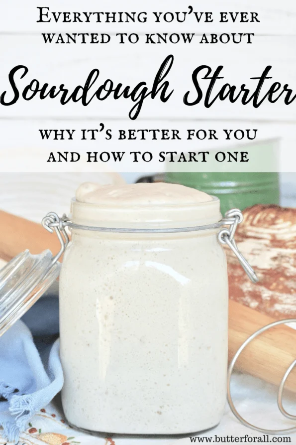 This is your guid to everything sourdough!