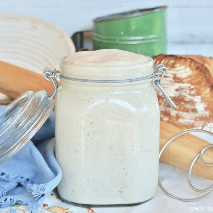 Sourdough starter that is active and fresh makes wonderful artisan bread!