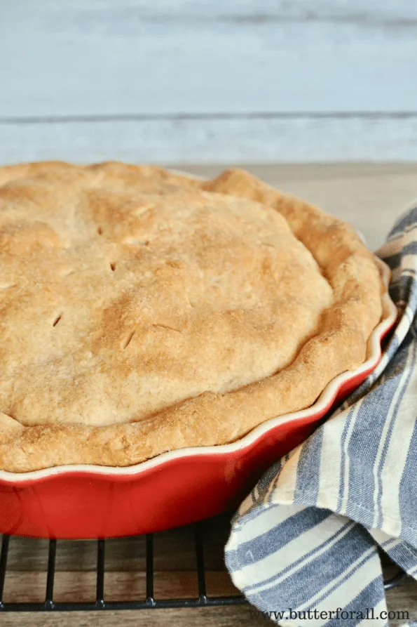 A baked pie in a pie dish.