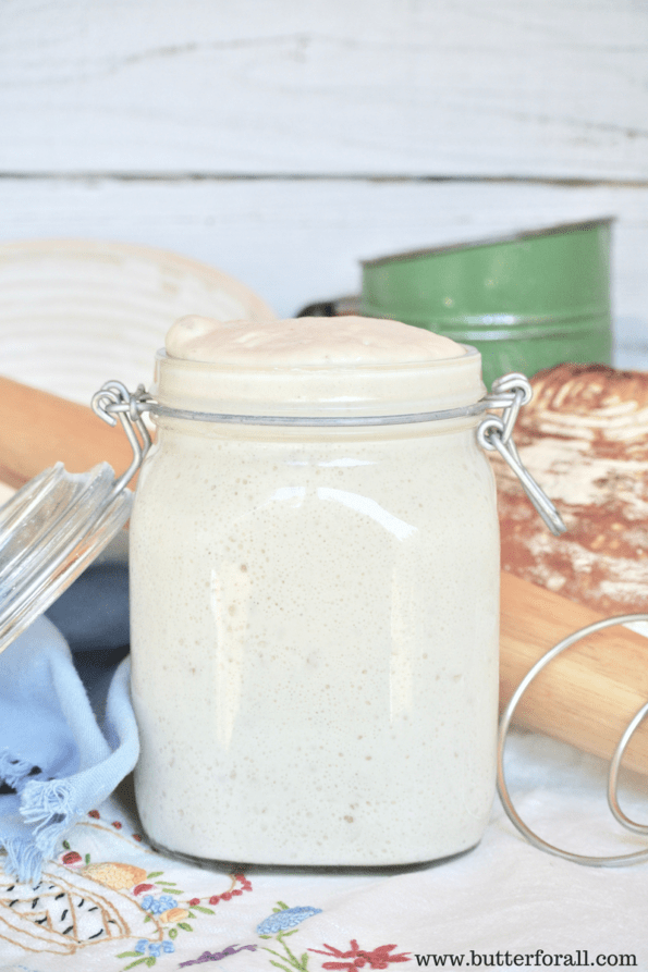 Fresh and active sourdough starter just waiting for a baking project!