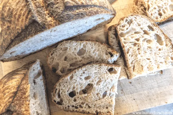 An artisan style sourdough loaf made with whole wheat flour.